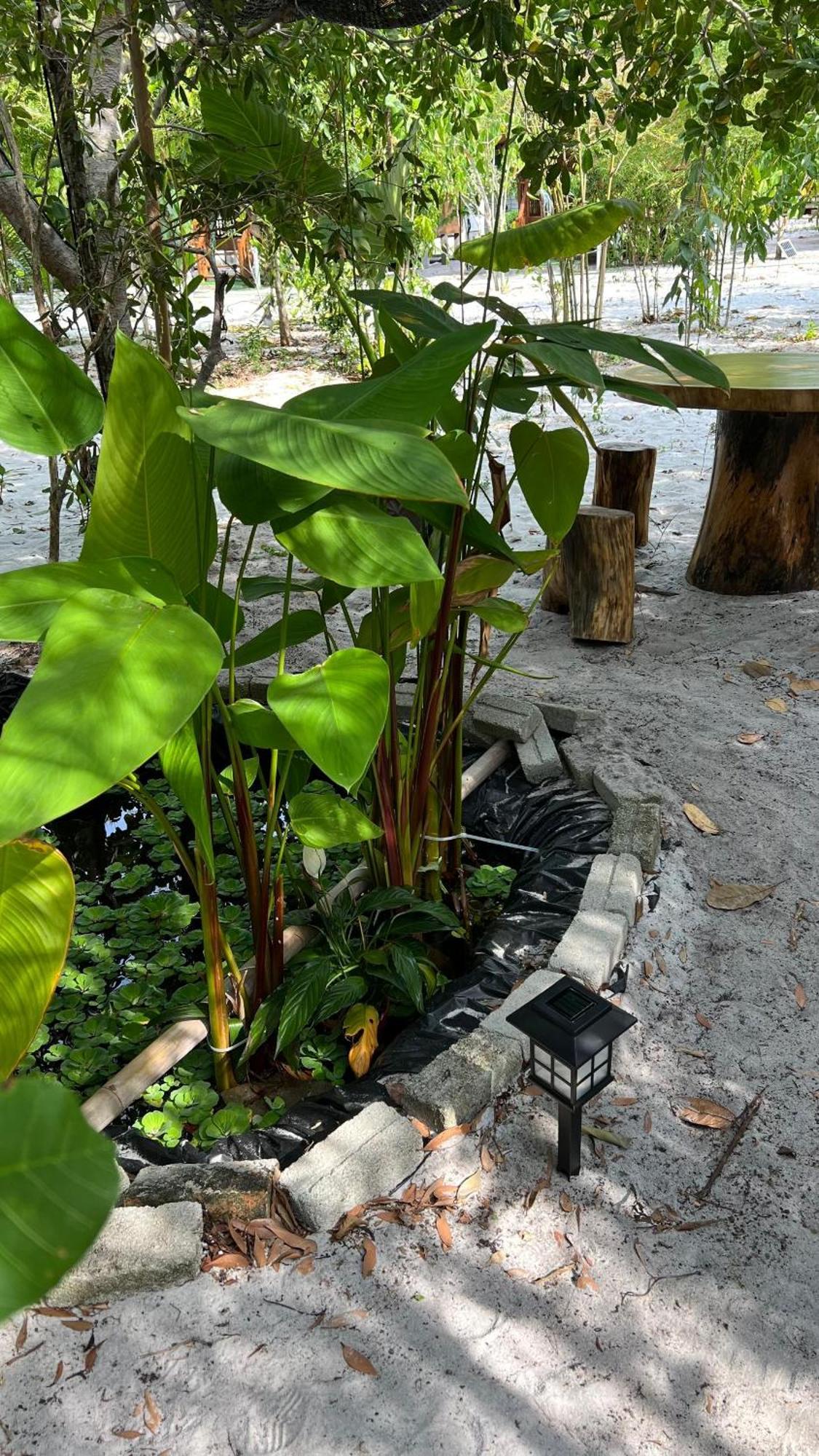 Golden Chenang Village Pantai Cenang  Extérieur photo