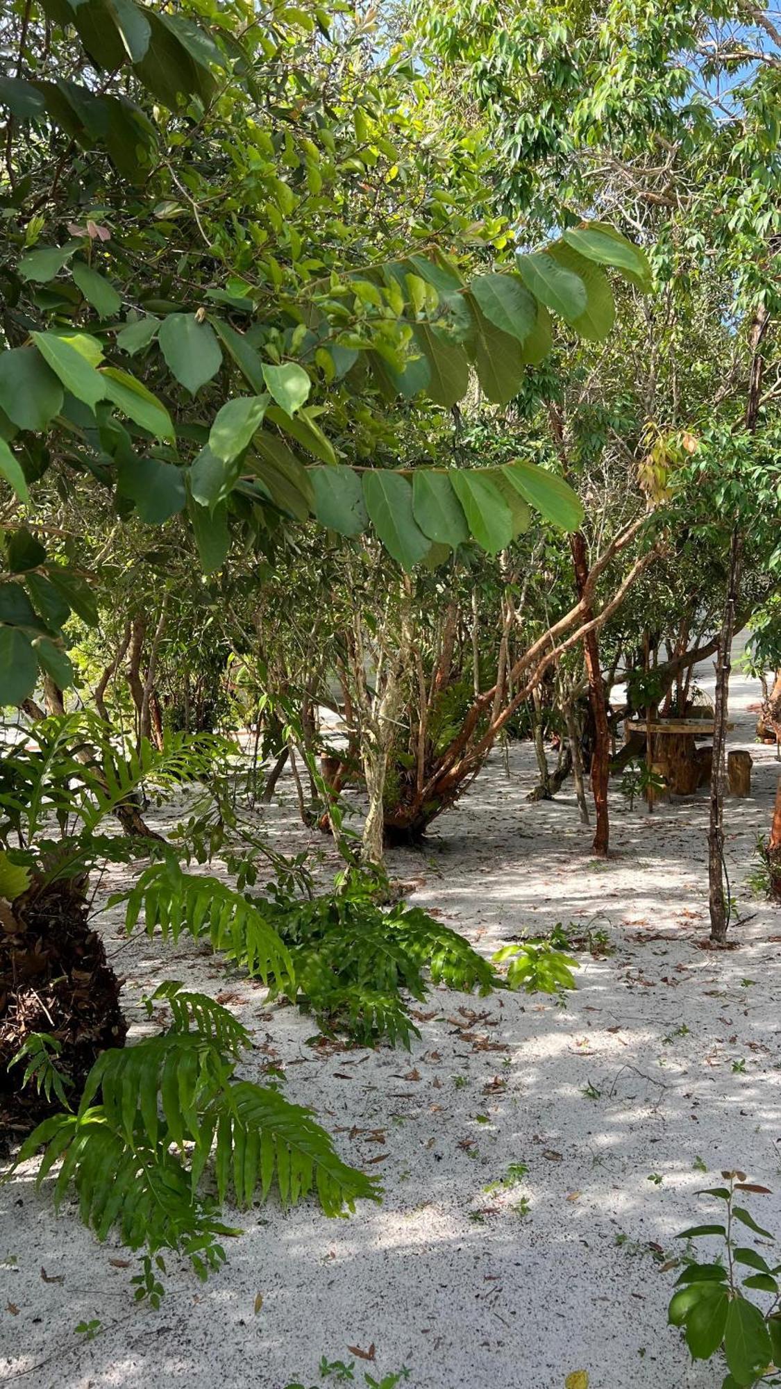 Golden Chenang Village Pantai Cenang  Extérieur photo