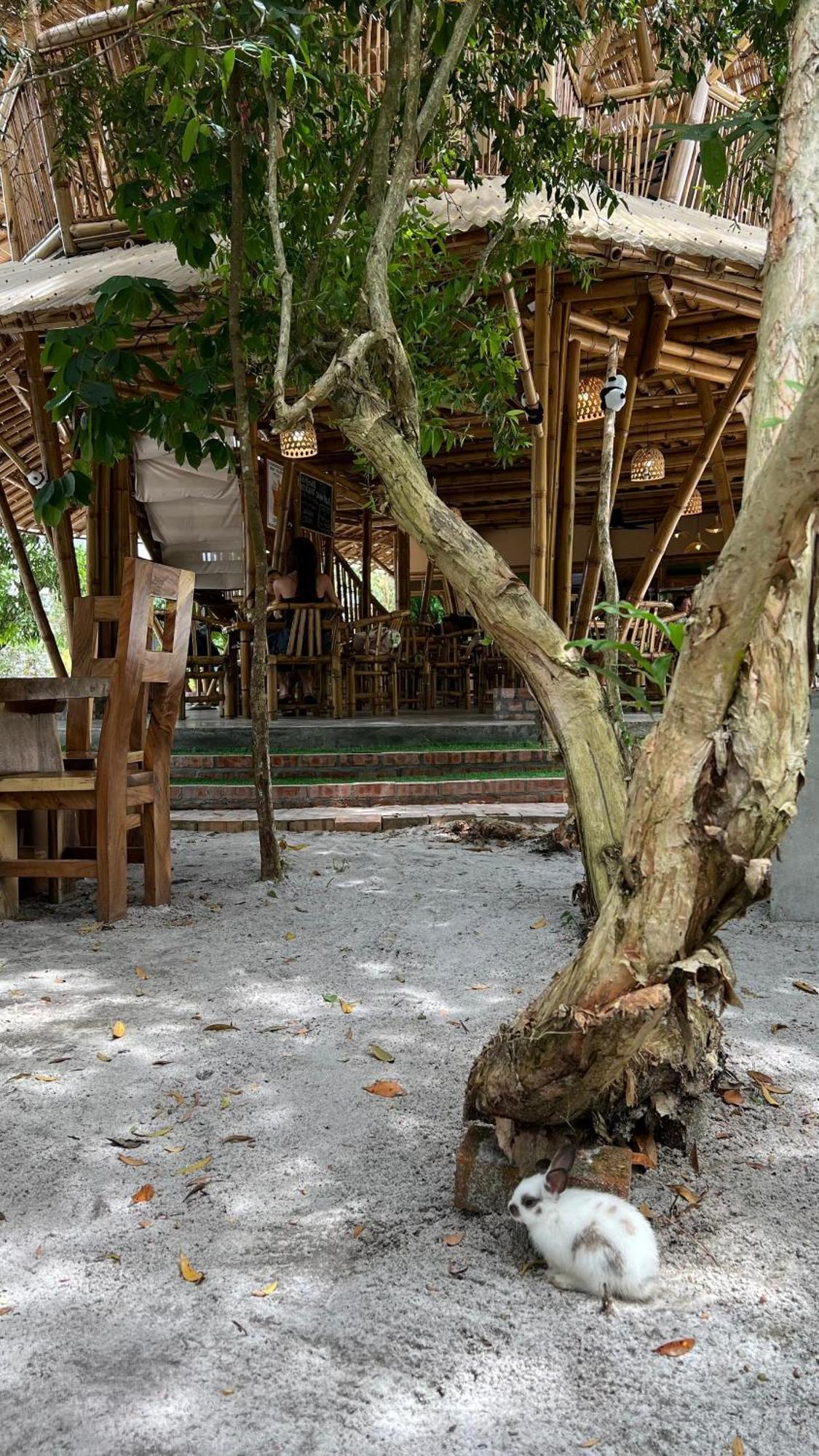 Golden Chenang Village Pantai Cenang  Extérieur photo