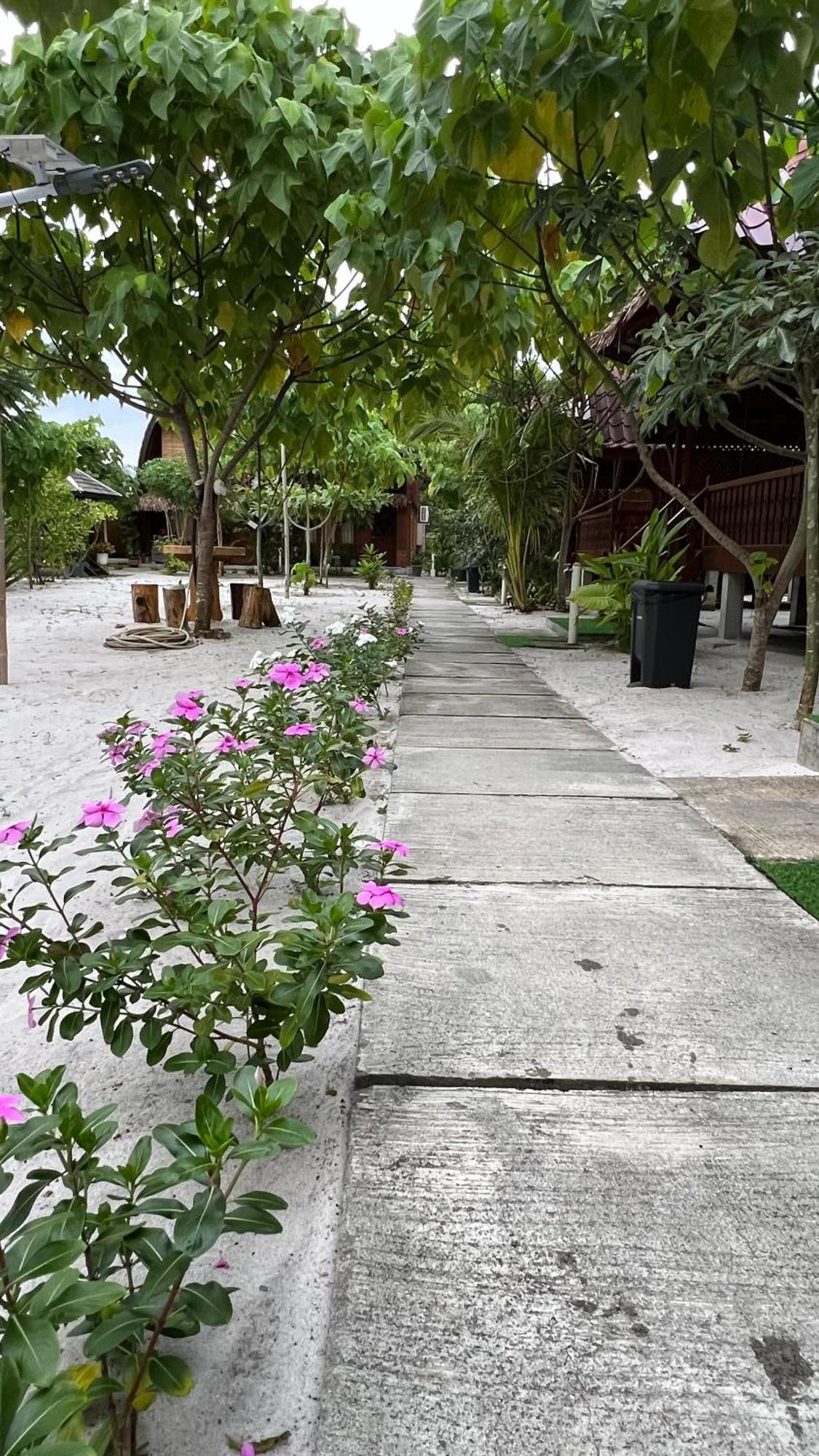 Golden Chenang Village Pantai Cenang  Extérieur photo